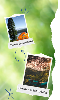 ¿Qué prefieres? – Verano
